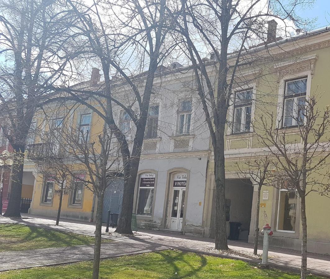 Appartamento Via Tokaj Vendégház Sátoraljaújhely Esterno foto