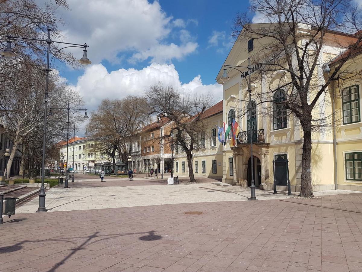 Appartamento Via Tokaj Vendégház Sátoraljaújhely Esterno foto