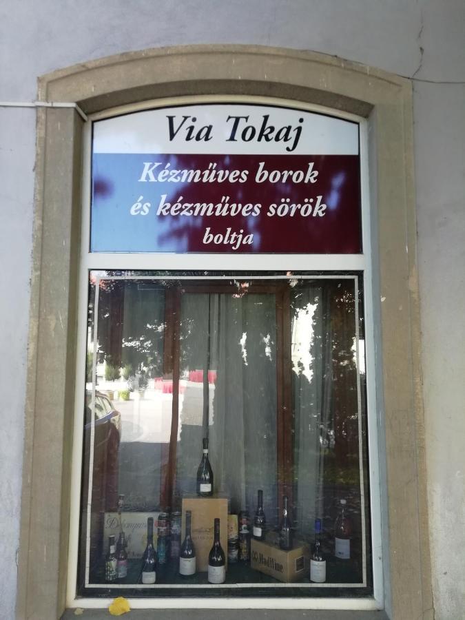 Appartamento Via Tokaj Vendégház Sátoraljaújhely Esterno foto