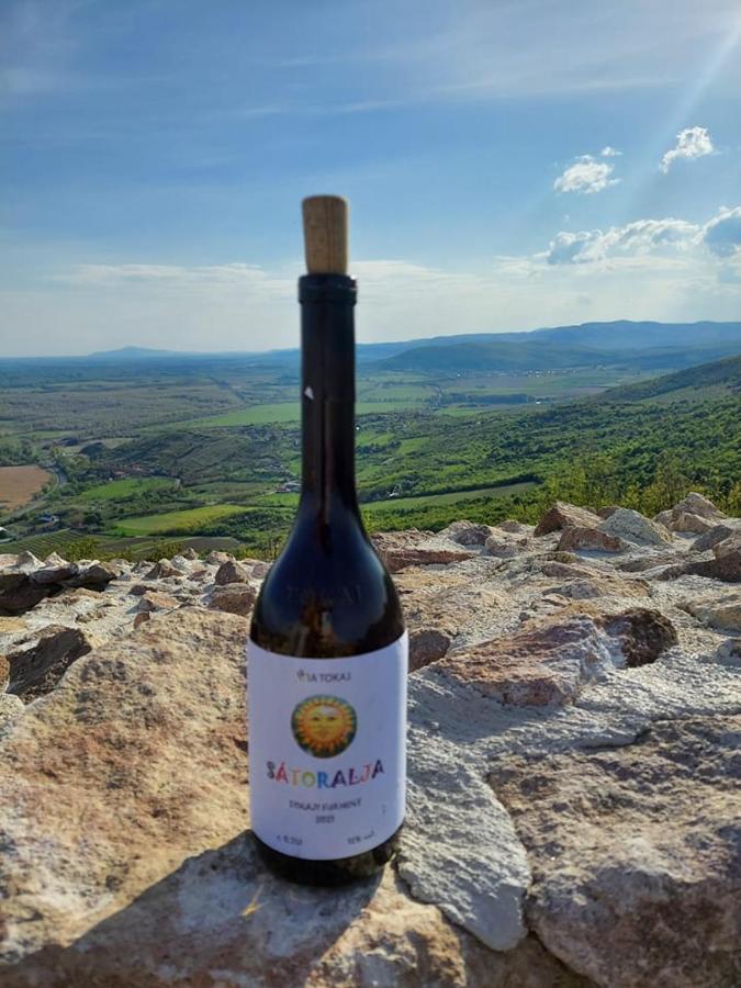Appartamento Via Tokaj Vendégház Sátoraljaújhely Esterno foto