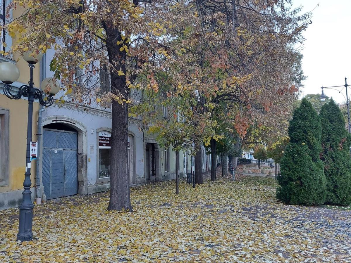 Appartamento Via Tokaj Vendégház Sátoraljaújhely Esterno foto
