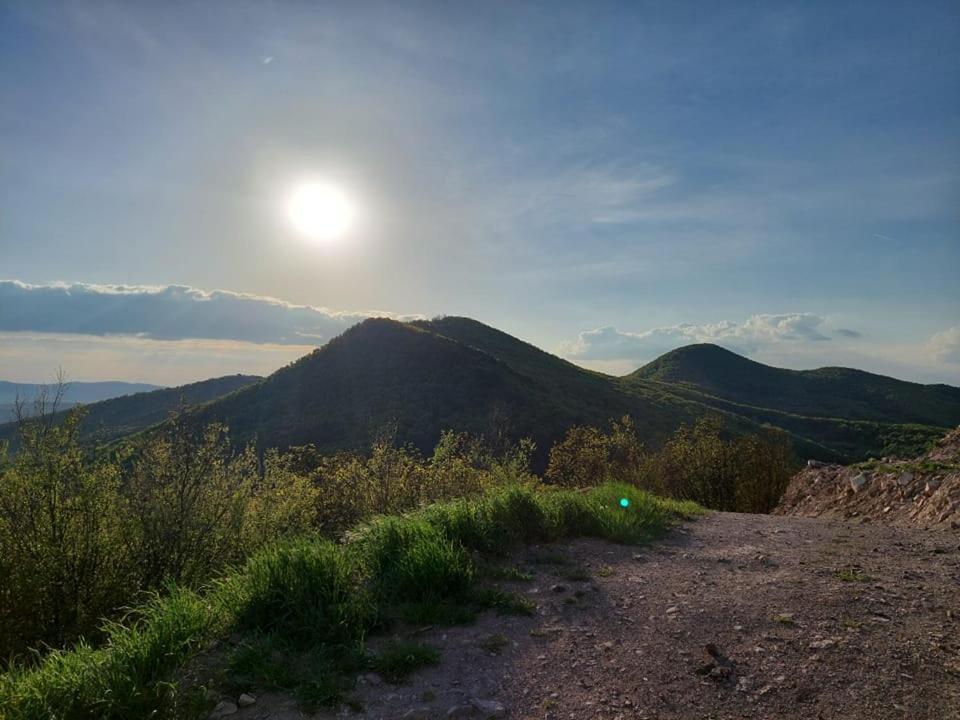 Appartamento Via Tokaj Vendégház Sátoraljaújhely Esterno foto