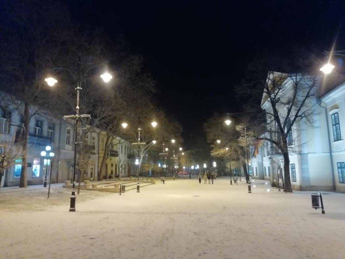 Appartamento Via Tokaj Vendégház Sátoraljaújhely Esterno foto