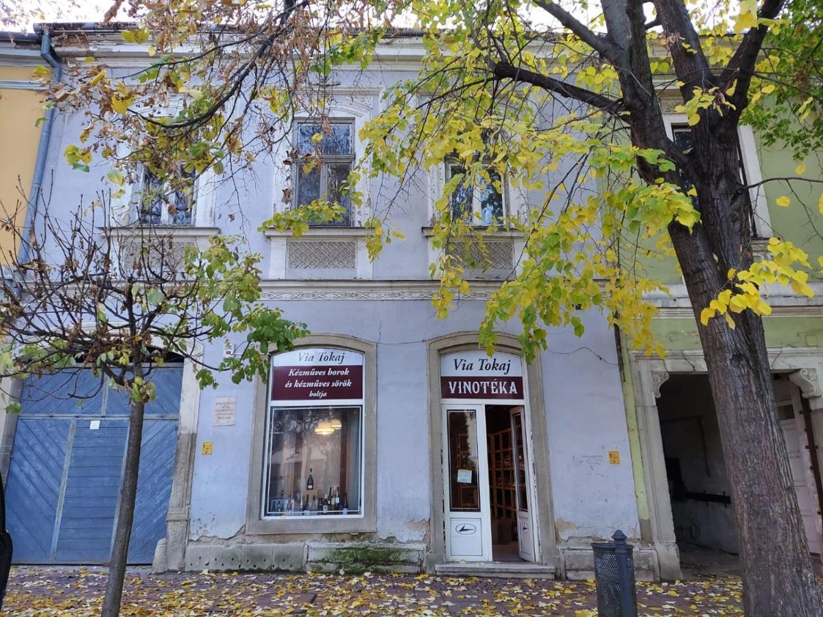 Appartamento Via Tokaj Vendégház Sátoraljaújhely Esterno foto