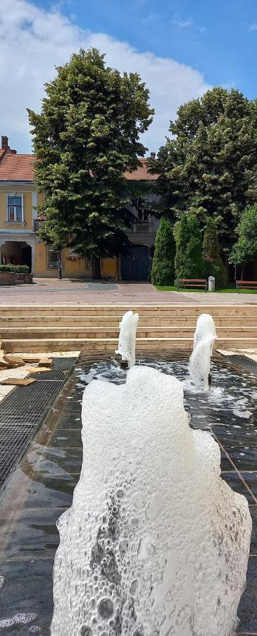 Appartamento Via Tokaj Vendégház Sátoraljaújhely Esterno foto