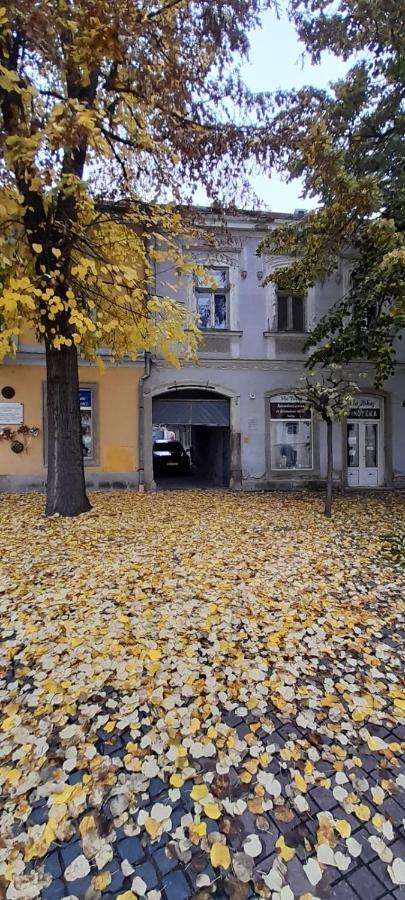Appartamento Via Tokaj Vendégház Sátoraljaújhely Esterno foto